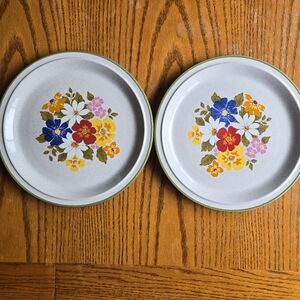 Stonecrest Andre Ponche Summer Garden Japan 8874  10 1/2" Dinner Plates 